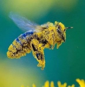 Meet your Posher, Marie-line